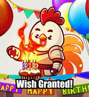 Party Birthday GIF by Zorooster