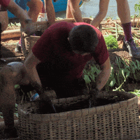 Traveling The Amazing Race GIF by CBS