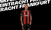 Bundesliga Tor GIF by Eintracht Frankfurt