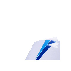 optik-koellner giphygifmaker plane wing Sticker