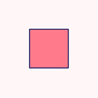 shawnbowers peek shawnbowers mr duck duck boy GIF