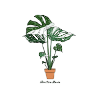 Plant Sticker by Monstera Mania