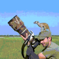 photographer meets GIF