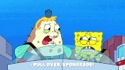 season 9 little yellow book GIF by SpongeBob SquarePants