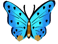 Be Kind Beauty Sticker