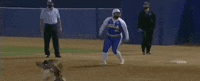 Virginia Tech Softball GIF by NCAA Championships