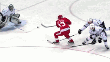 detroit red wings GIF