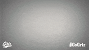 University Of Montana Football GIF by Montana Grizzlies