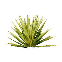 Oaxaca Jaguar Sticker by Mezcal Mitre