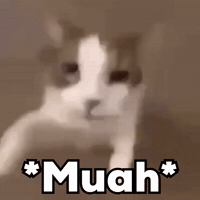 Kisses Love GIF