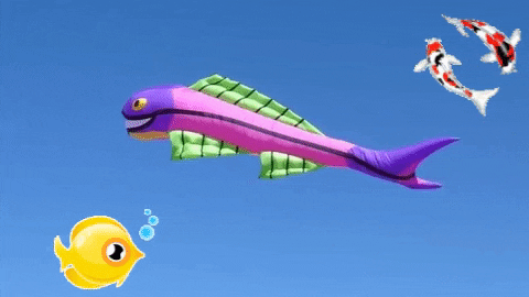 katherinegsmith giphygifmaker giphyattribution fish flying GIF