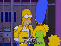 homer simpson GIF