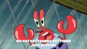 season 9 episode 3 GIF by SpongeBob SquarePants