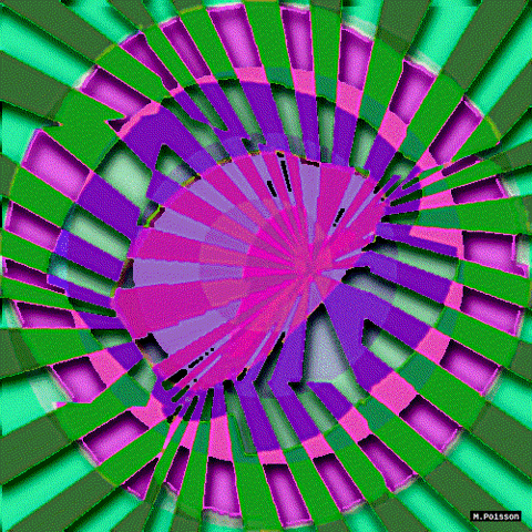 michelpoisson giphyupload art python abstraction GIF