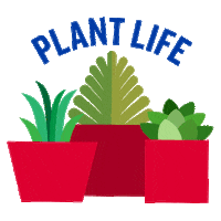 Plant Life Plants Sticker by American Family Insurance