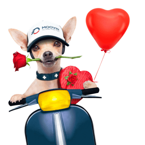 Sticker by MOOVIN
