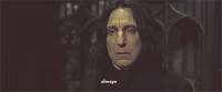 GIF by Giphy QA
