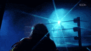 Ultimate Warrior Wwe GIF by DARK SIDE OF THE RING