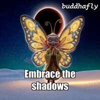 Butterfly Growth GIF by BuddhaFlyJourney