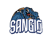 Sport Basketball Sticker by Sangiorgese Basket