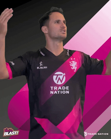 Celebrate Come On GIF by Somerset County Cricket Club