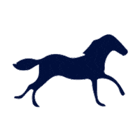 gulfstreampark horse racing gulfstream park 1st bet 1st racing Sticker