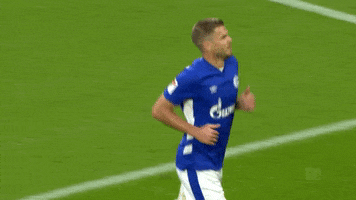 Football Soccer GIF by FC Schalke 04