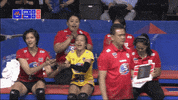 Happy Hand In Hand GIF by Volleyball World