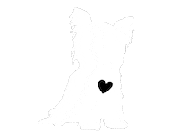 yeahyouknowit puppy doggo yorkie puppylove Sticker