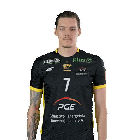 Volleyball Leman Sticker by PGE GiEK Skra Bełchatów