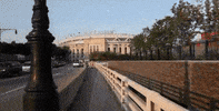 yesnetwork sports sport baseball mlb GIF