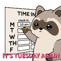 Tuesday Tacos Sticker by Ordinary Frends