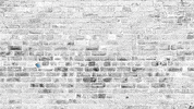 Graffiti Wall GIF by BS Systems GmbH & Co. KG