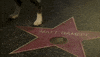 Oscars 2024 GIF. We see Matt Damon's Hollywood Star and a dog leg lifted above it. The camera pans out suddenly and we see Messi, the dog from Anatomy of a Fall, taking a quick whizz on Damon's star. 