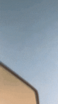 Skeleton Collectibles GIF by Youtooz