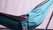 arrested development hello GIF by Trek Light Gear
