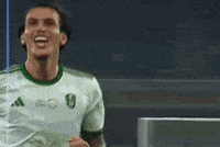 Ibanez GIF