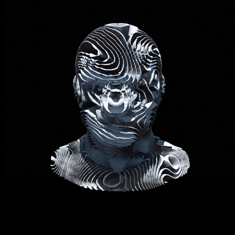 franciscomartiniano giphyupload glitch 3d head GIF