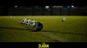 Manchester United Zlatan GIF by Signature Entertainment