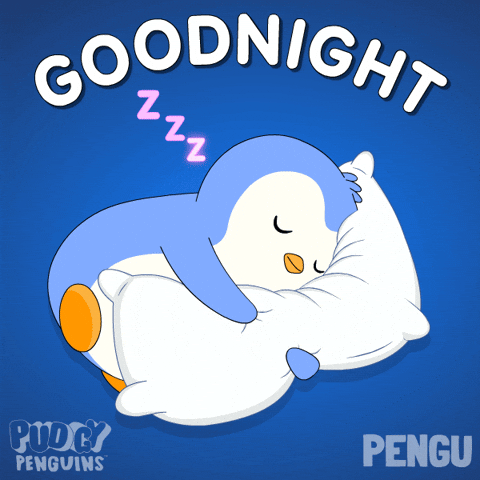 Good Night Sleeping GIF by Pudgy Penguins