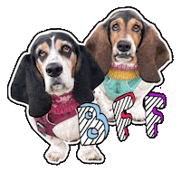Best Friends Bff Sticker