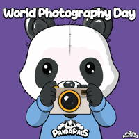 Photography Photo GIF by PandaPals