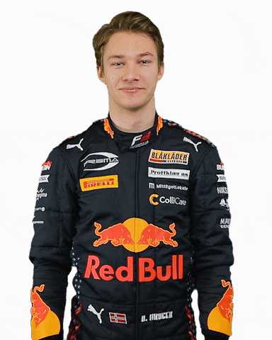Formula 3 Dennis GIF by Prema Team