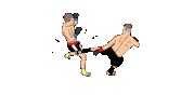 Fight Karate Sticker