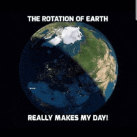 This Made My Day GIF