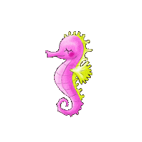Pink Strand Sticker by bootshaustegernsee