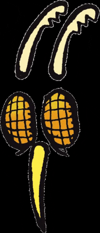 Insecte GIF by Amnesty France