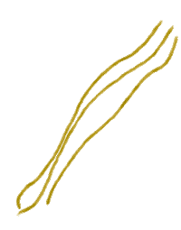 Lines Shape Sticker by katlyn boone