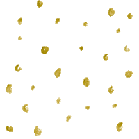 Circle Confetti Sticker by katlyn boone