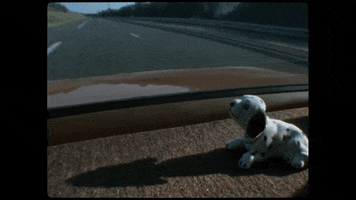 Driving Slow Road Trip GIF by Epitaph Records